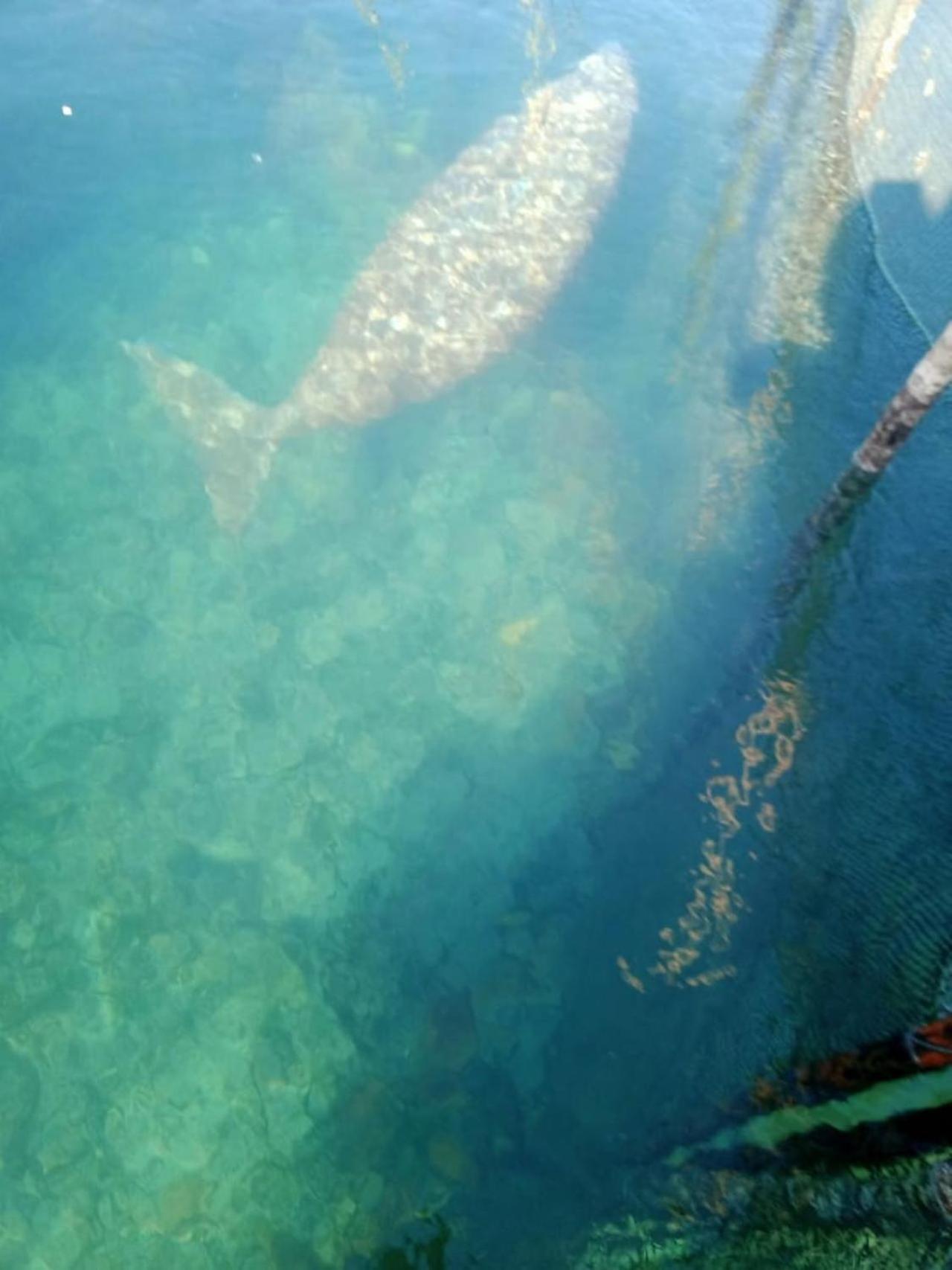 Pondok Wisata Noah Likupang Kültér fotó